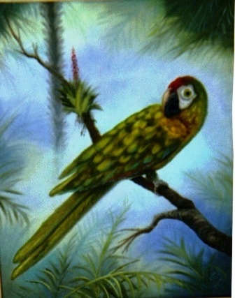 [ Parrot ]