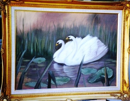 [ Swans  ]